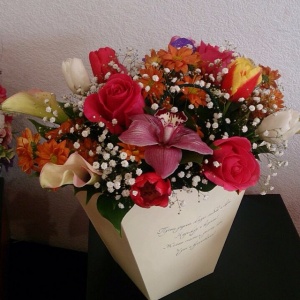 10995203_948068698544285_1096577916_n